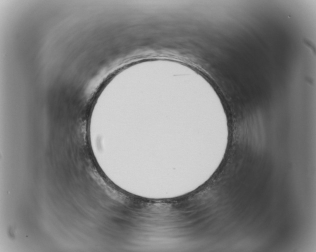X0000103911503200810171653
