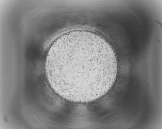 X0000103911504200810171653