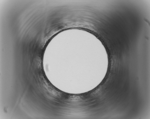 X0000103911505200810171653