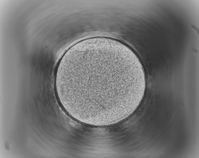 X0000103911508200810171653