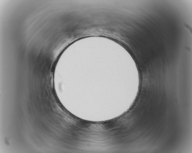X0000103911509200810171653