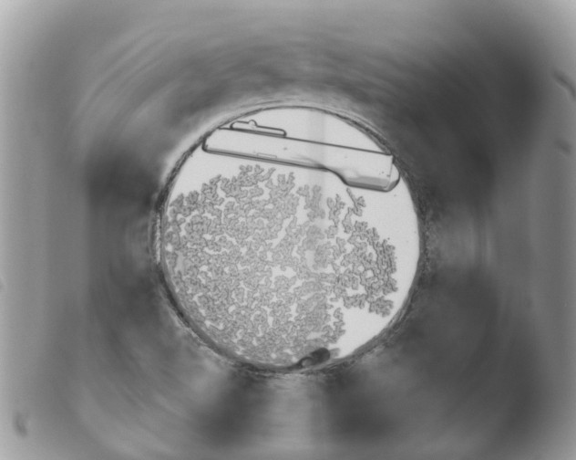X0000103911510200810171653