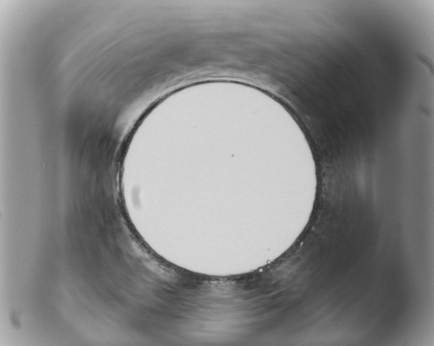X0000103911511200810171653