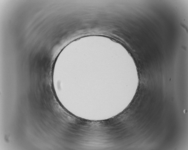 X0000103911512200810171653