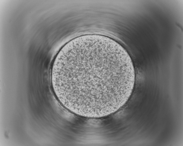 X0000103911514200810171653
