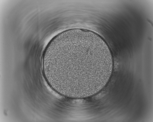 X0000103911515200810171653