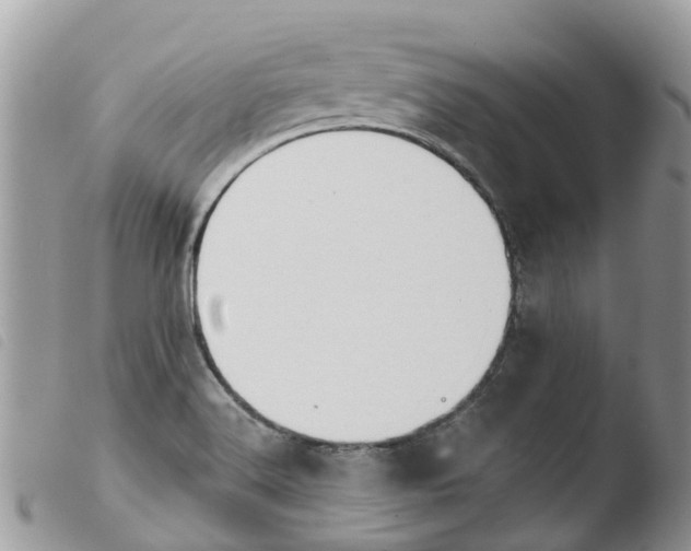 X0000103911516200810171653