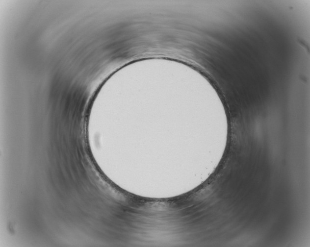 X0000103911517200810171653