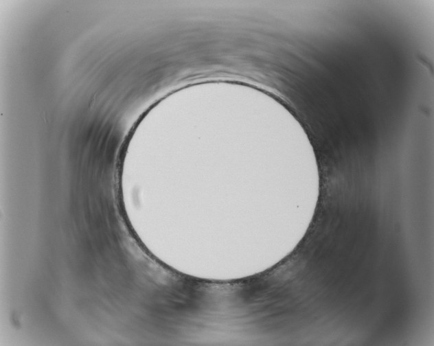 X0000103911518200810171653