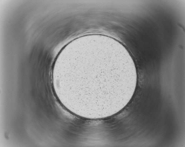 X0000103911519200810171653
