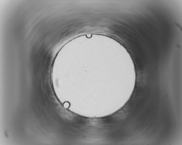 X0000103911520200810171653