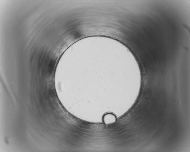 X0000103911521200810171653
