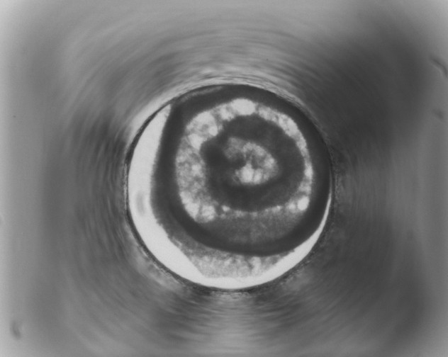 X0000103911522200810171653
