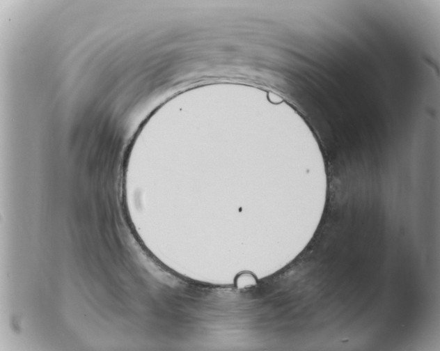 X0000103911523200810171653