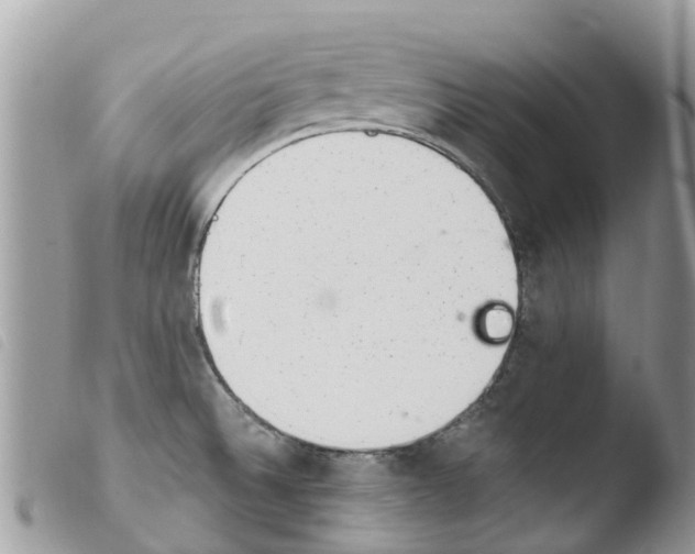 X0000103911524200810171653