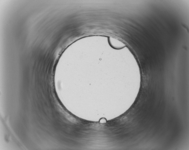 X0000103911525200810171653