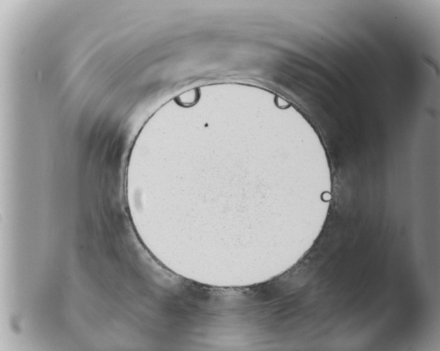 X0000103911528200810171653
