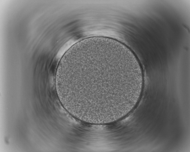 X0000103911529200810171653