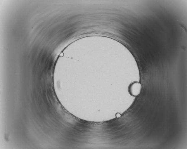 X0000103911530200810171653
