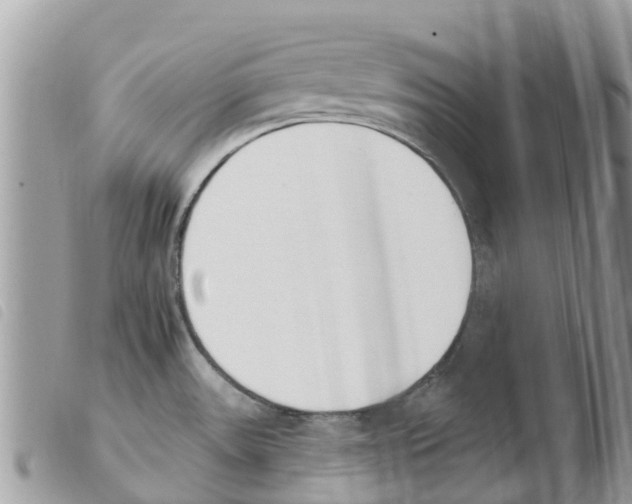X0000103911531200810171653