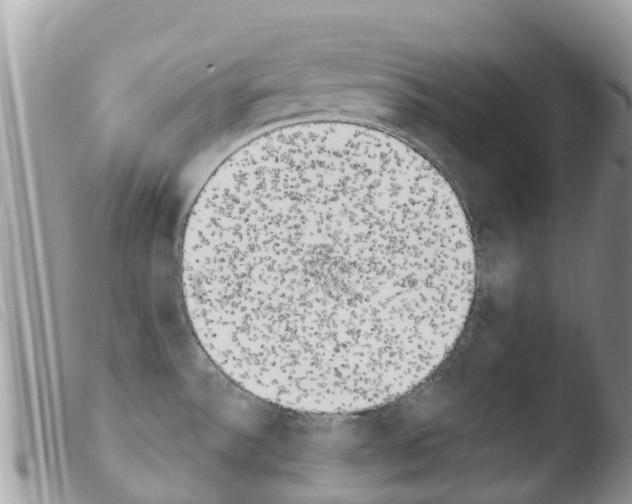 X0000103911532200810171653