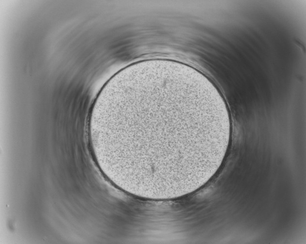 X0000103911533200810171653