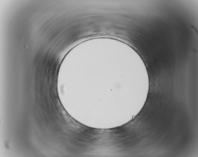 X0000103911534200810171653
