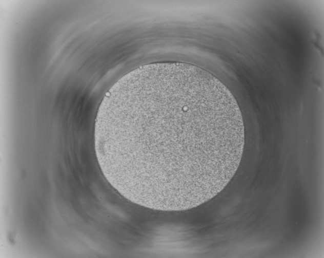 X0000103911536200810171653