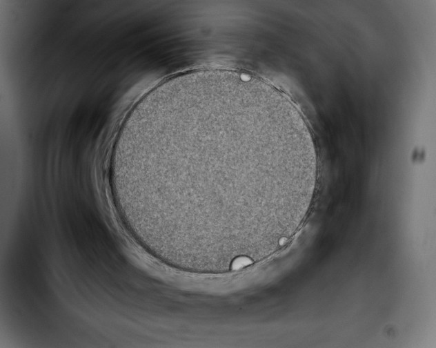 X0000103910001200810311443