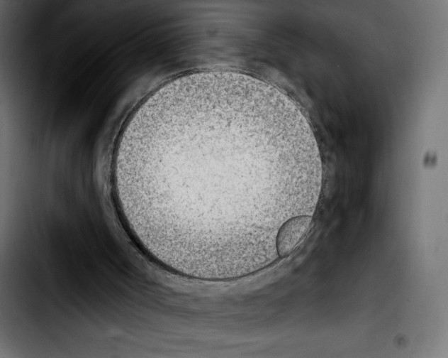 X0000103910002200810311443