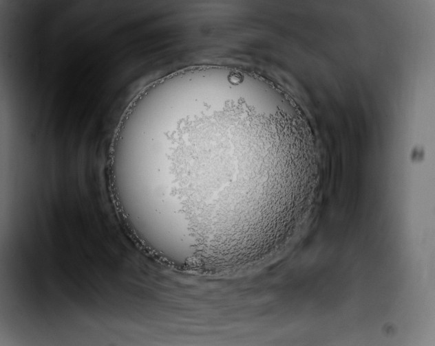 X0000103910003200810311443