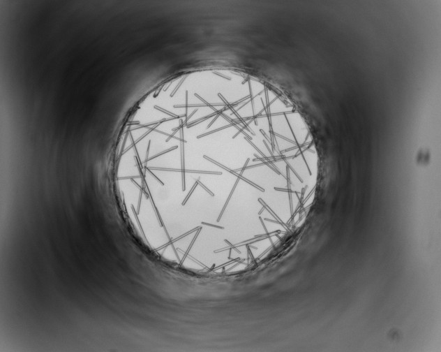 X0000103910004200810311443