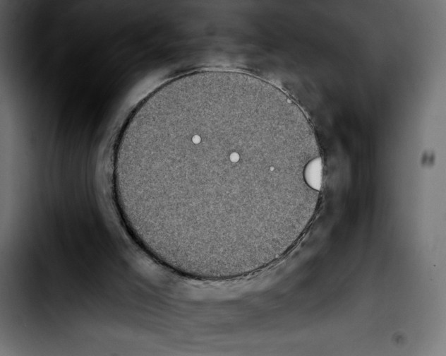 X0000103910005200810311442