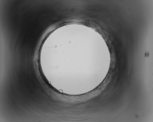 X0000103910006200810311442