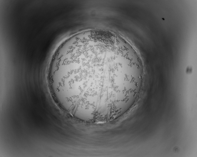 X0000103910007200810311442