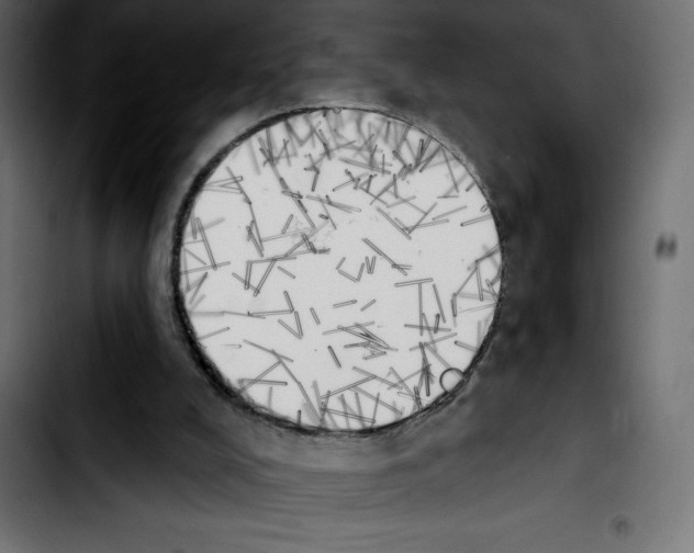 X0000103910008200810311442