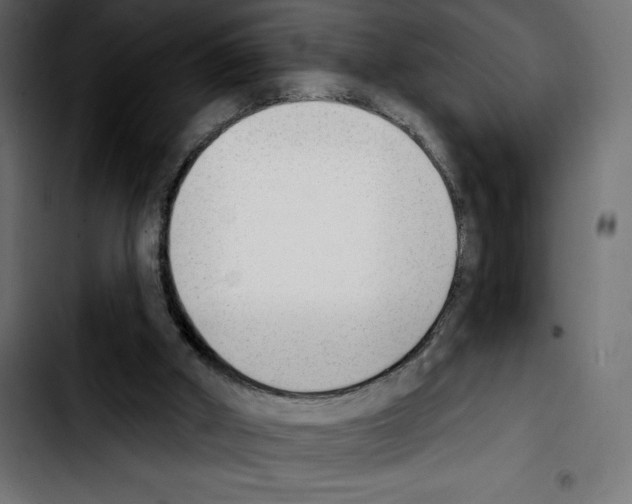 X0000103910010200810311442