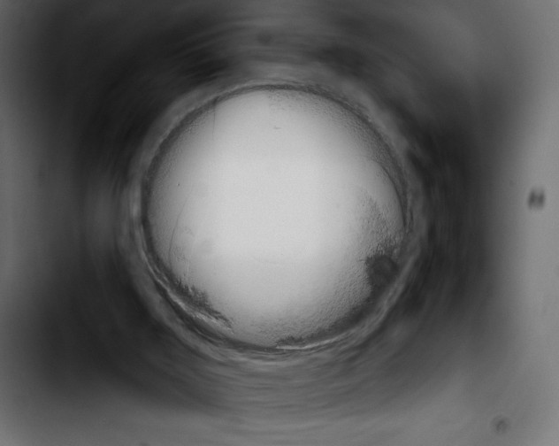 X0000103910011200810311442