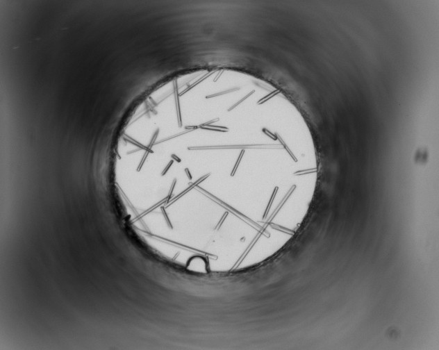 X0000103910012200810311442