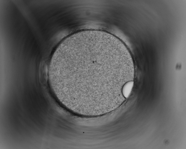 X0000103910013200810311442