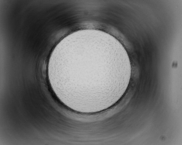 X0000103910014200810311442