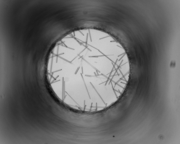 X0000103910016200810311442