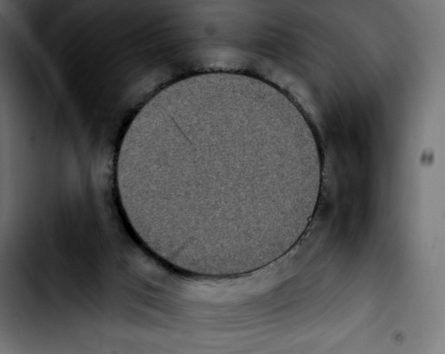 X0000103910017200810311442