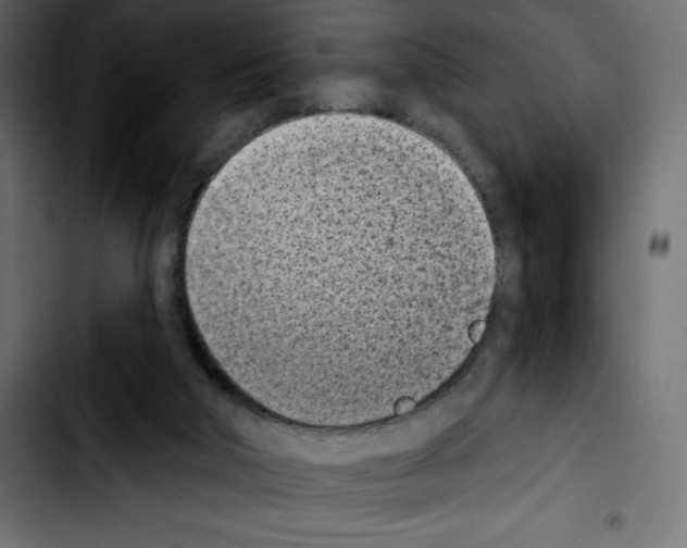 X0000103910018200810311442