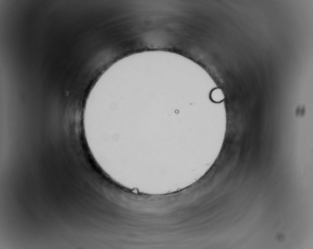 X0000103910019200810311442
