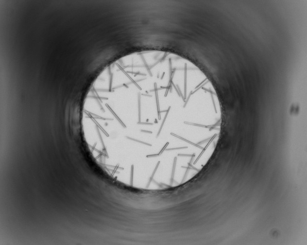 X0000103910020200810311442