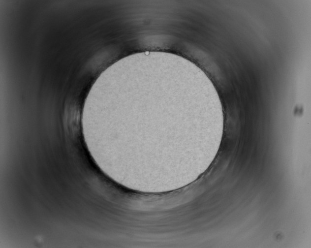 X0000103910021200810311442