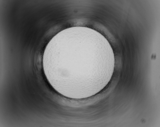 X0000103910022200810311442