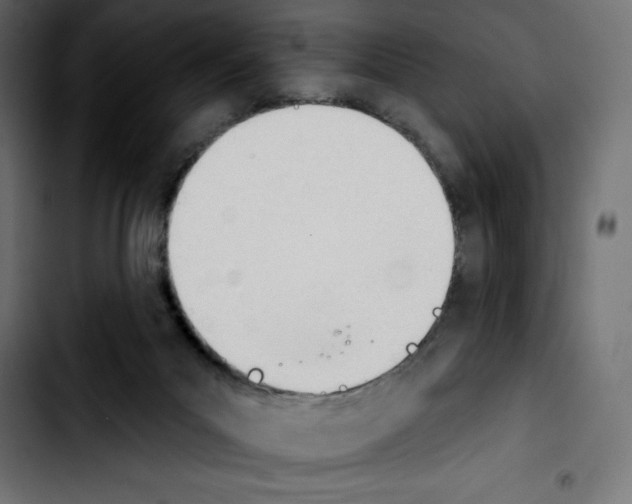 X0000103910023200810311442