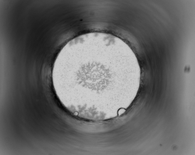 X0000103910024200810311442